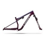 S-Works Epic 9 Frameset